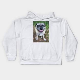 Cute pug dog sitting near grass Kids Hoodie